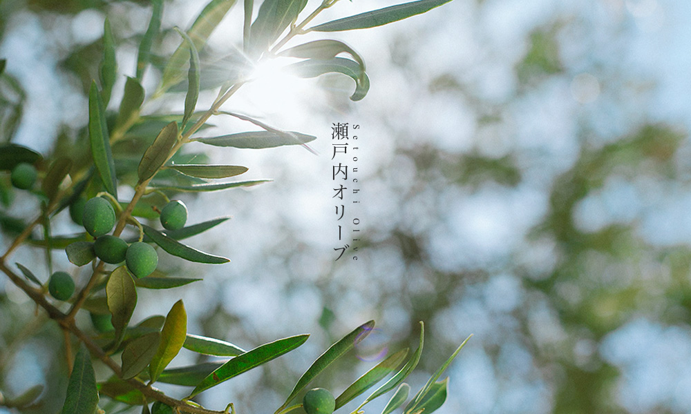 瀬戸内オリーブ